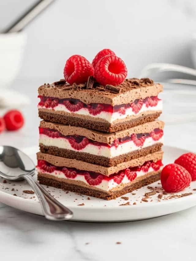 Ultimate Raspberry Chocolate Lasagna: No-bake Dessert Heaven (Web Story)