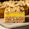 Macro close-up of a Sunshine Burst Lemon Oatmeal Crumble Bar showing layers of oat crust, lemon filling, and streusel topping on a rustic wooden board.