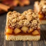Macro close-up of Autumn's Embrace Apple Crisp Shortbread Bar showing layers of shortbread, spiced apple, and oat streusel on rustic wood.